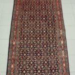 977 2029 ORIENTAL RUG